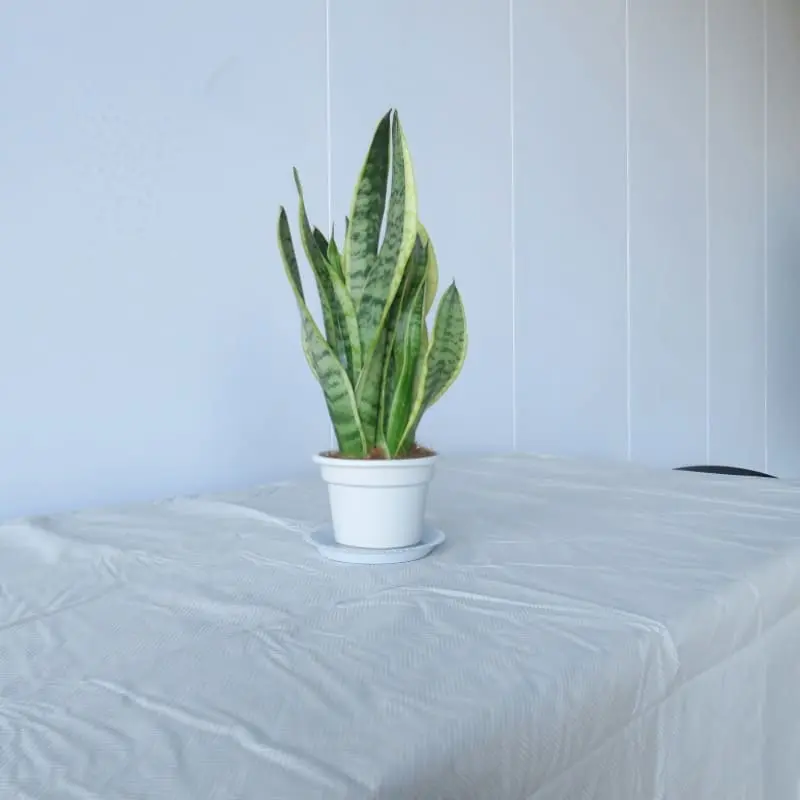 Beige Herringbone Vinyl Tablecloth with Flannel Backing